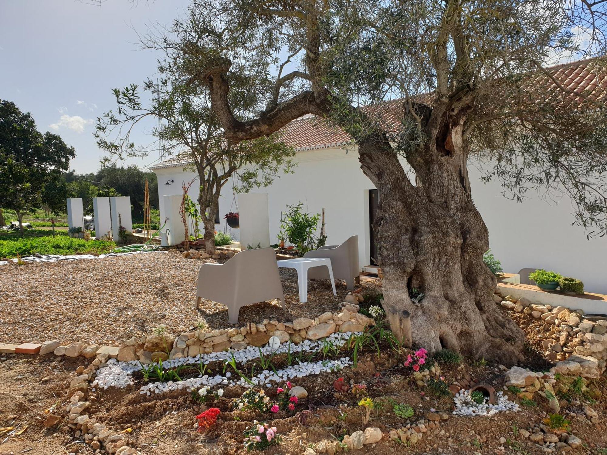 Monte Das Acoteias - Agroturismo Tavira Ngoại thất bức ảnh