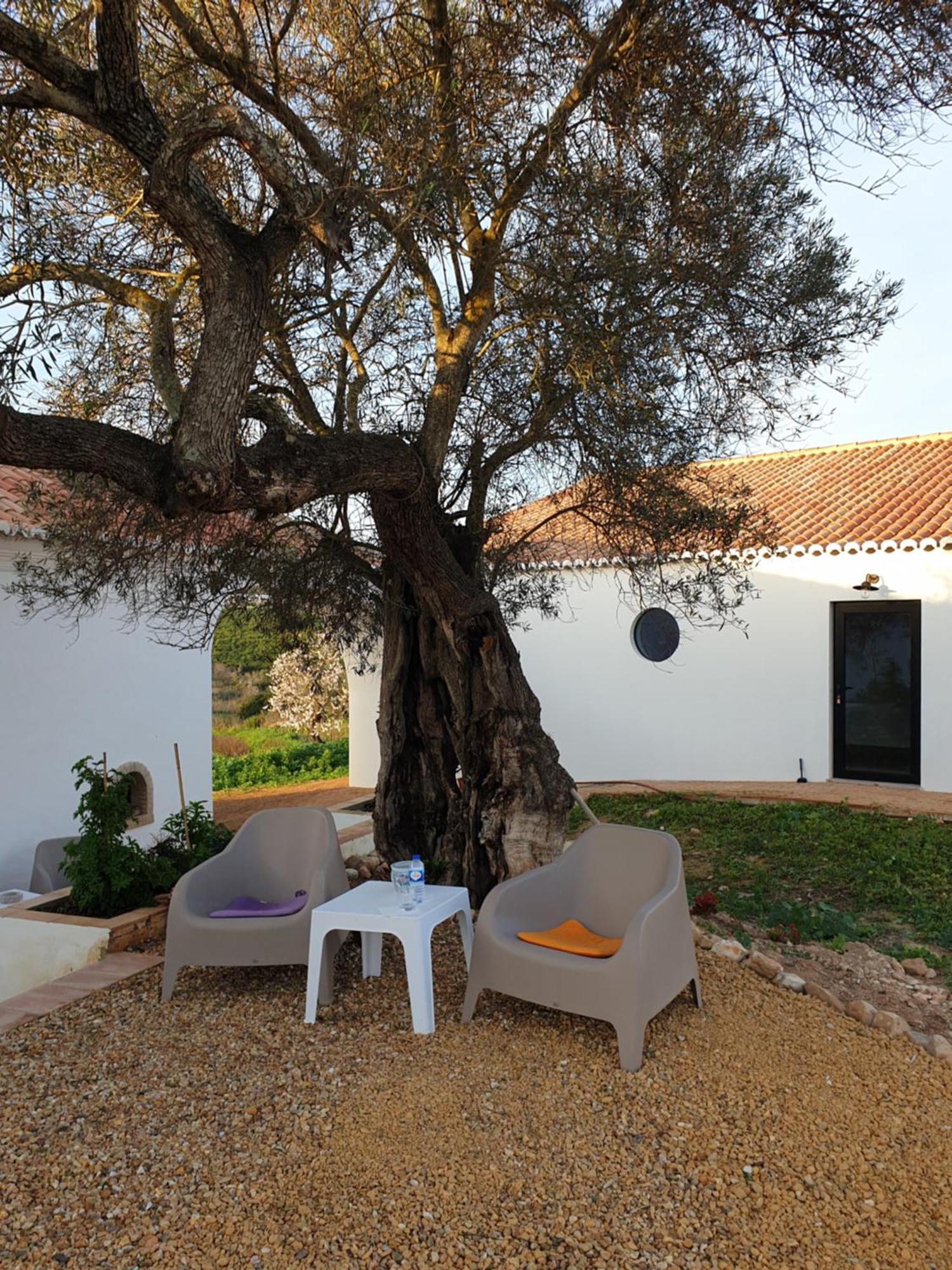 Monte Das Acoteias - Agroturismo Tavira Ngoại thất bức ảnh